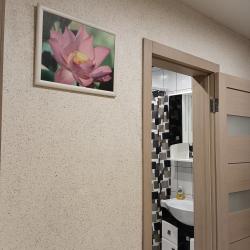 Апартаменты студия