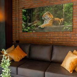 Фото Отель Амурский Бархат