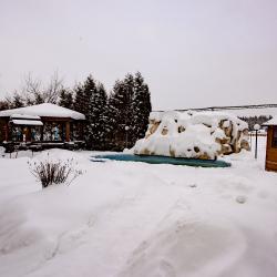 фото 29 Чайка