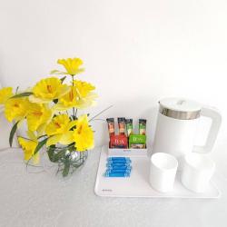 Апартаменты студия