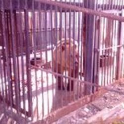 Фото Отель Усадьба