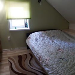 Фото Отель Сосновый бор