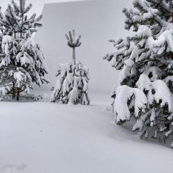 Фото Отель ЛаДача