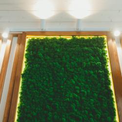 Фото Отель КетиГеш