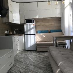 Фото Апартаменты Green Palace Sochi (Грин Пэлас )