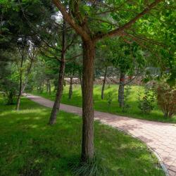 Фото Отель Качинская