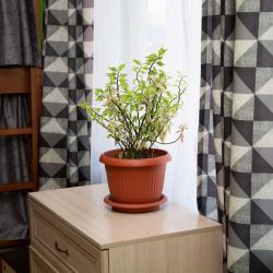 Фото Отель Белояръ