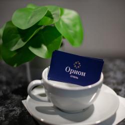 Фото Отель Орион