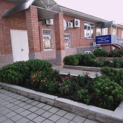 Фото Отель Кедр