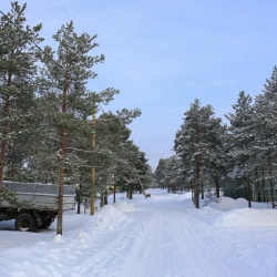 Фото Отель Алавойне