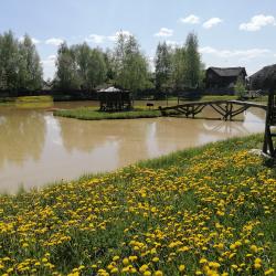 Фото Отель Гостевой дом Окулова Заимка