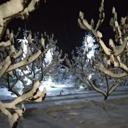 Фото Отель Нахалёнок