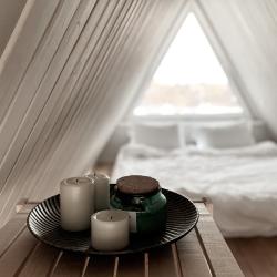 Дом у сосны