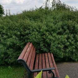 Фото Отель Покровское-Дивное