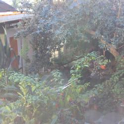 Фото Отель Эдем