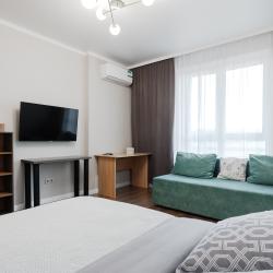 Фото Апартаменты на улице Мечникова 110с2