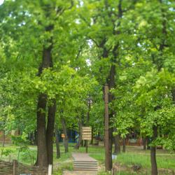 Фото Отель Дубровский парк-клуб