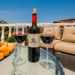 Фото Отель GvinoMinda Hotel (ГвиноМинда)