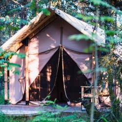 Фото Отель Ecolodge Zen (Эколодж Зен)