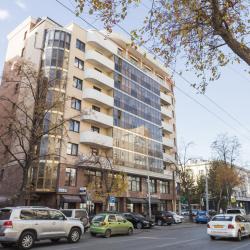 1-комнатные апартаменты студия Белинского,  30 (10088)