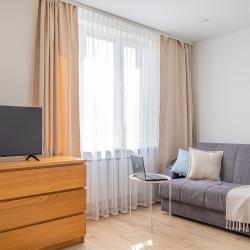 1-комнатные апартаменты стандарт Готвальда 24/5 4 эт