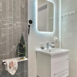 1-комнатные апартаменты люкс