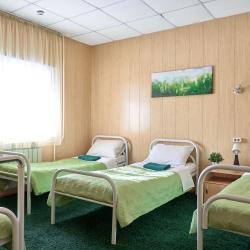 Фото Отель Гостевой дом Зеленый