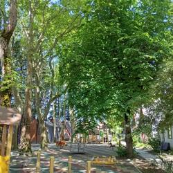 Фото Отель Эльбрус