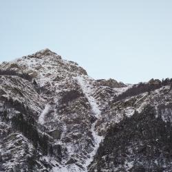 Фото Отель Альпина Хаус