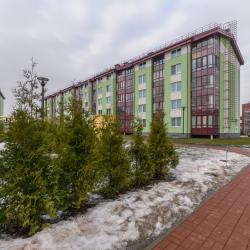 Фото Отель ВГостиВПитер на Кокколевской 7с2