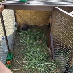 Фото Отель Pav.love Village (ПавЛов)