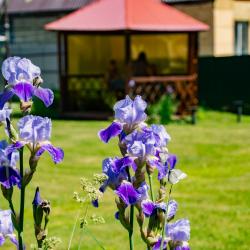 Фото Отель Коттедж Манжерок