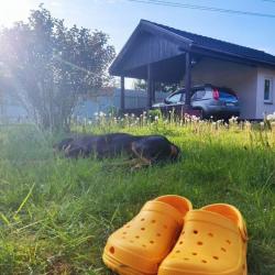 Коттедж стандарт