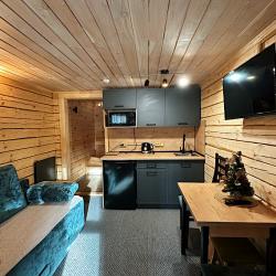 Фото Отель Сила Алтая