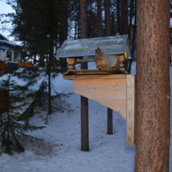 Фото Отель Огни Имандры