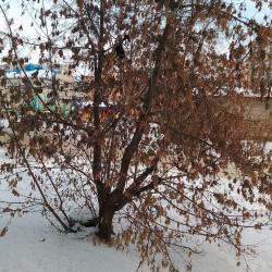 Апартаменты на улице Трудовая 73 — 0f2feed73a64ebdbd3c704641c486562