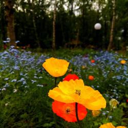 Фото Отель Лапландия