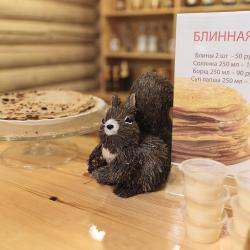 Фото Spa-Парк отель Дубрава