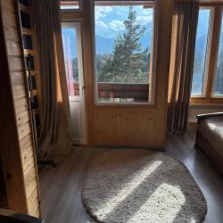 Номер люкс с 1 односпальной и 1 двуспальной кроватью