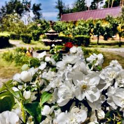 Фото Отель Глухомань