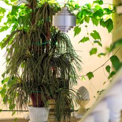 Фото Отель Панорама