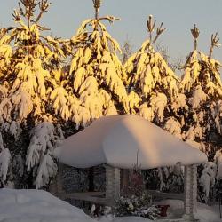Фото Отель Гостевой дом Брейтово