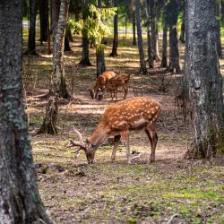 Фото Конгресс отель Русские сезоны