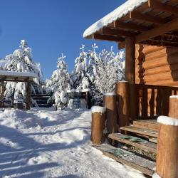 Фото Отель Лесная Усадьба