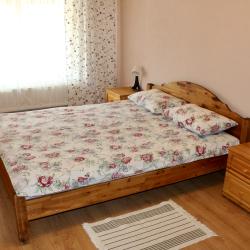 Номер эконом с 1 двуспальной кроватью