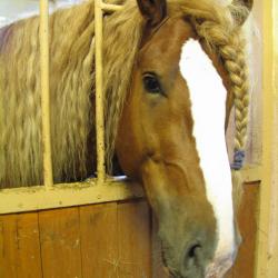 Фото Отель Колкуново