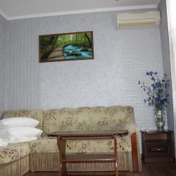Комната люкс с 1 двуспальной кроватью