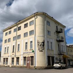 Фото Отель Шелонь