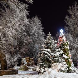 Фото Отель Лель