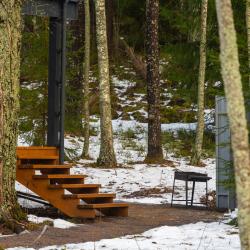 Дом с видом на лес гостиная со спальней (40 кв.м)